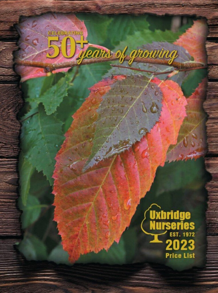 uxbridge farms catalogue cover