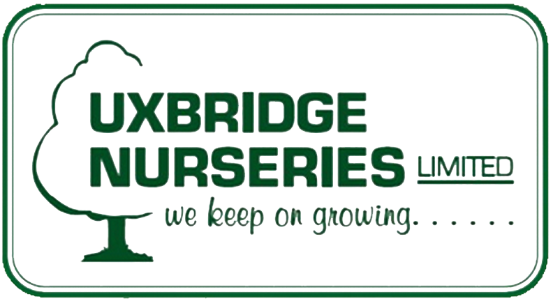 Availability Uxbridge Nurseries